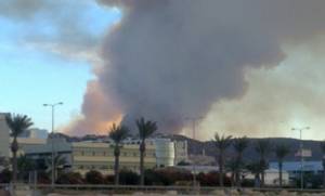 Israele, incendio ad Haifa 
Brucia il monte Carmelo: 
ci sono almeno 50 morti