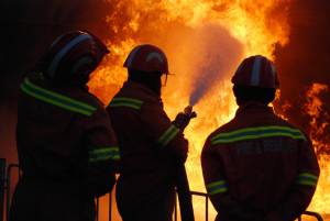 I vigili del fuoco sfidano l'incendio dopo aver sentito delle grida, ma a chiamarli erano due pappagalli