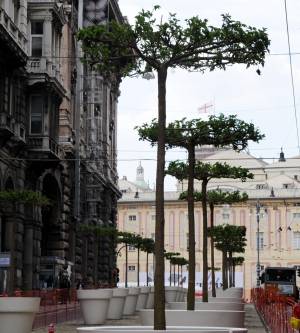 Tutti parlano di «Rambla» nessuno dice quanto costa