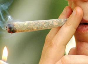 La cannabis torna "leggera": reintrodotta la differenza dalle droghe pesanti