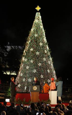 L'albero di Barack Obama