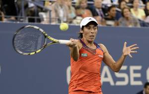 Us Open, Schiavone travolta dalla Williams