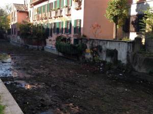 Dai carrelli della spesa ai motorini, la  Martesana è una discarica