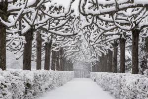 I giardini di Villar Perosa sotto la neve