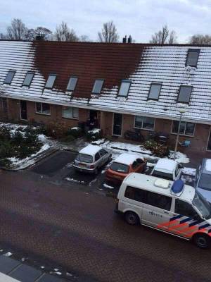 Niente neve sul tetto: polizia olandese scopre una coltivazione di cannabis casalinga