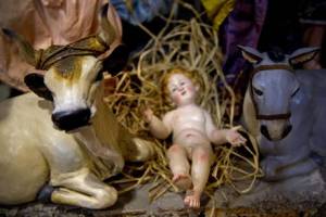 Grillini contro Gesù Bambino: "Sbagliato regalarlo ai bimbi"