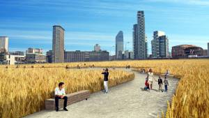 Il campo di grano ​spunta a Porta Nuova