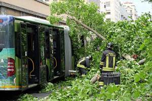 Milano, albero cade sull'autobus