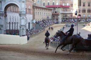 Siena, abbattuta cavalla infortunata