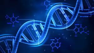 Storia, scoperte in Sicilia le tracce genetiche dei coloni greci di Eubea