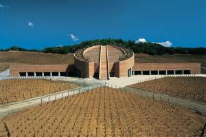 Vino, dalla Toscana al Piemonte tra gusto e glamour