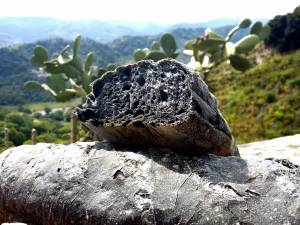 Il pane nero aiuta a digerire? Falso: ecco l'opinione del Ministero