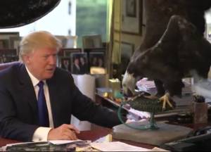 Problemi con l'aquila per Donald Trump