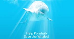 Il porno si fa sociale: Pornhub salva le balene