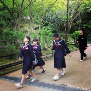 Giappone, tre giorni a Kyoto: imparando il significato di komorebi