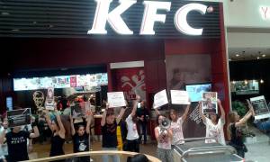 Animalisti contro il Kfc di Arese