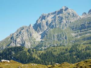 Val Camonica, camminate alla scoperta delle incisioni della della Valle dei Segni