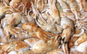 L'Unione Europea vieta di sbiancare i calamari con l’acqua ossigenata