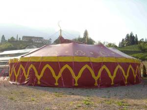 Un toro impazzito uccide a cornate un cammello in un circo a Bormio