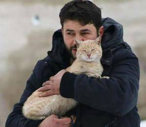 Guerra un po' meno triste grazie al gattaro di Aleppo