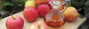 Xylella, produttori trentini sul piede di guerra: esportiamo meno mele per colpa degli ulivi pugliesi