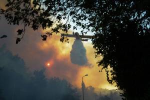 Intifada degli incendi in Israele