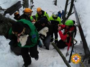 Hotel Rigopiano, trovati vivi i tre cuccioli di Lupo e Nuvola