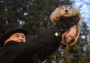 Oggi è il Giorno della Marmotta: cos'è l'usanza americana sul meteo