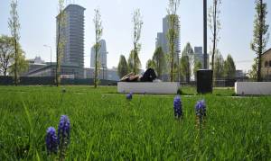 Nella Biblioteca degli alberi nasce una spiaggia verde