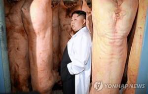 Kim Jong-un in un allevamento di maiali: foto diffusa dalla stampa di regime