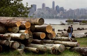 Trump dichiara guerra al legname canadese