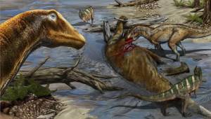 Una nuova specie di dinosauro identificata da team di Torino