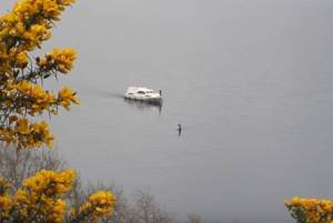 Lago di Loch Ness, nuovo avvistamento del mostro marino Nessie?