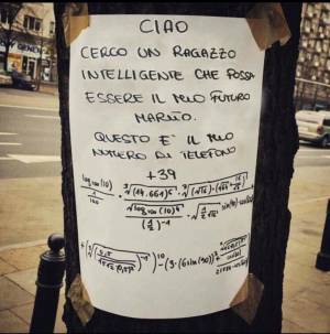 "Cerco un marito intelligente", l'annuncio matematico è geniale