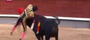 Colpito al polmone durante la corrida: muore il torero Ivan Fandiño
