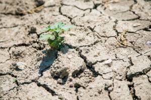 Ipcc: "Cambiamento climatico aumenterà fame e migrazioni"