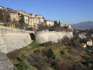Unesco, faggete vetuste e mura veneziane diventano patrimoni dell'umanità