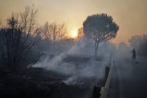 Roma, incendio alla pineta di Castel Fusano. Raggi: "Situazione gravissima"