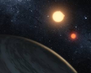 Terra, l'allarme degli scienziati: "Ecco data dell'estinzione di massa"