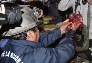 Tra animali squartati e sangue: il rituale choc per Madre Terra