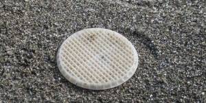 Svelato il mistero dei dischetti di plastica sulle spiagge