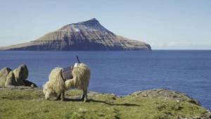 Le Isole Faroe vogliono l'indipendenza dalla Danimarca