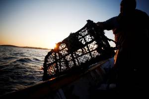 Nella Manica è guerra aperta tra pescatori inglesi e francesi