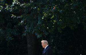 Trump viene eletto e i vertici di Google reagiscono disperati