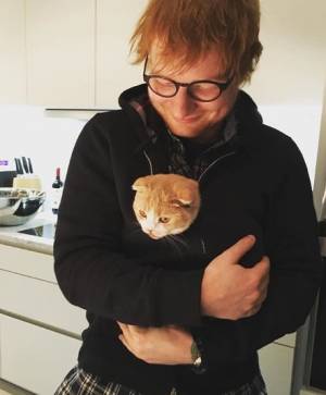 Ed Sheeran paga più tasse di Amazon