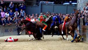 Muore (l'ennesimo) cavallo. Palio di Siena sotto accusa