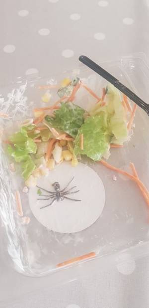 Trova ragno nell'insalata: foto choc diventa virale