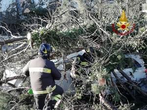 Matera, albero caduto per il vento finisce su un'auto. Illesi nonno e nipote