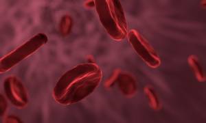 Anemia Mediterranea, in arrivo l’innovativo “farmaco trappola”