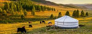 Mongolia, allarme peste bubbonica: due i morti